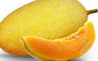 吃哈密瓜的路人视频在线观看,哈密瓜诱惑下的路人美食体验