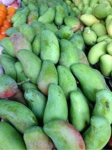 海口特殊吃瓜技巧视频,解锁夏日消暑新技巧