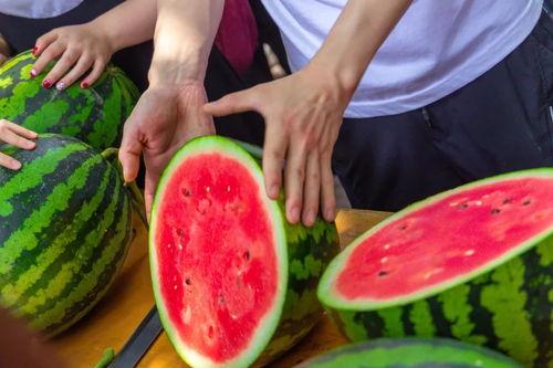 大学吃瓜原视频,一场关于青春与趣事的狂欢