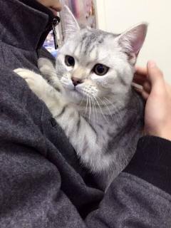 小狗吃瓜素材视频大全集,小狗吃瓜趣味瞬间大盘点