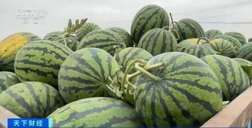 福华世家吃瓜视频大全