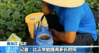 吃瓜买视频犯法吗,法律边界与道德考量