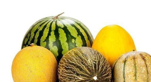 吃瓜应该有什么类型的视频,趣味横生，笑料百出，带你领略网络娱乐新风尚