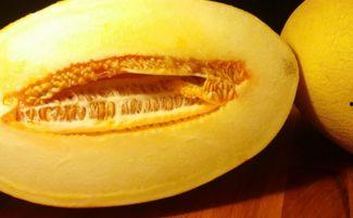 哈密瓜怎么吃最爽口视频,视频教你轻松解锁美味新境界
