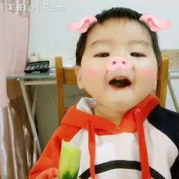 小猪吃瓜视频