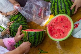 吃瓜福利干货视频,视频带你轻松解锁美食世界