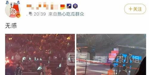 肖战和杨紫吃瓜视频大全