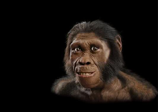 吃瓜视频原始人,揭秘原始人生百态