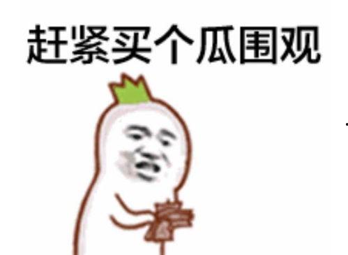 吃瓜群众袁大威视频全集,揭秘娱乐圈幕后真相