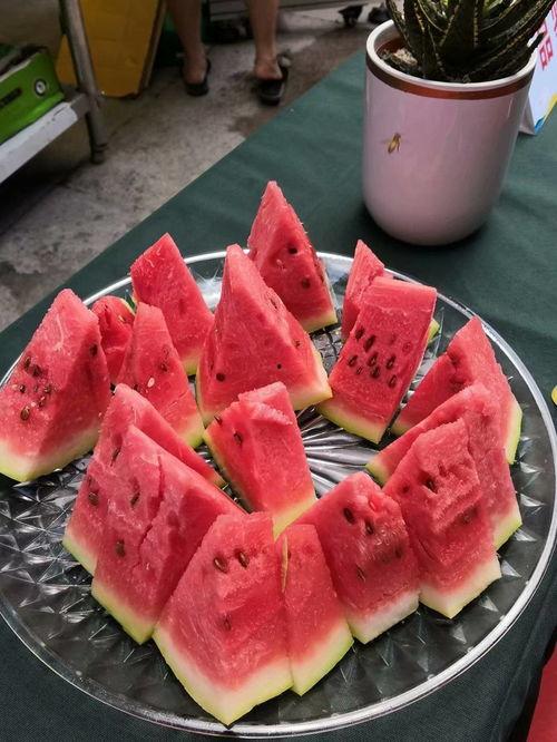 年底吃瓜比赛视频,盘点年底热门视频瞬间