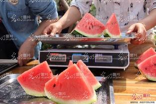 山东聊城女子吃瓜视频,一场关于瓜的全民狂欢