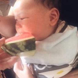 宝宝吃哈米瓜视频大全,甜蜜滋味，快乐成长