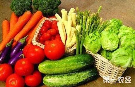 美食聪慧吃瓜视频在线观看,跟随聪慧吃瓜视频，在线解锁美味世界