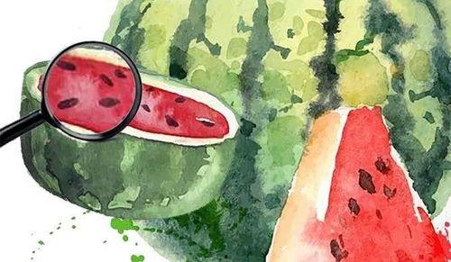 吃瓜视频免费2020,2020年度吃瓜视频免费盛宴大盘点