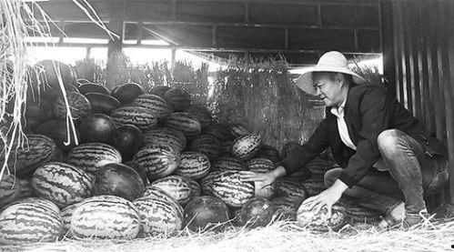 大新吃瓜群众事件视频,一场网络舆论的风暴与反思