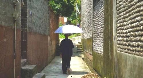 定州凤翔园吃瓜事件视频,一场引发热议的社区冲突视频揭秘