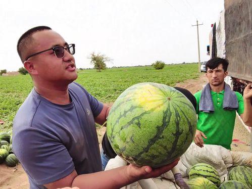 吃瓜视频yp58,热门话题背后的真相与内幕