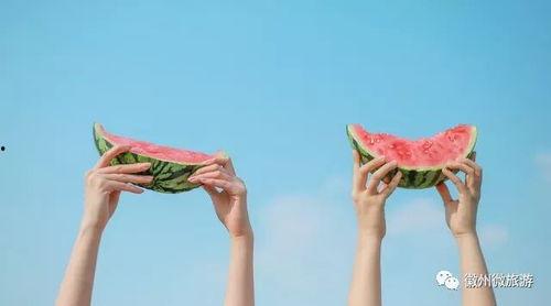 千里之外吃瓜视频大全免费观看,尽享免费瓜视频盛宴