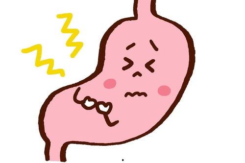 吃鲜瓜胃难受怎么办呢视频,缓解吃鲜瓜胃部不适的实用方法